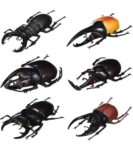 Amazon.co.jp: デアゴスティーニ 世界の昆虫 DATE BOOK 1/1 ヤンソン